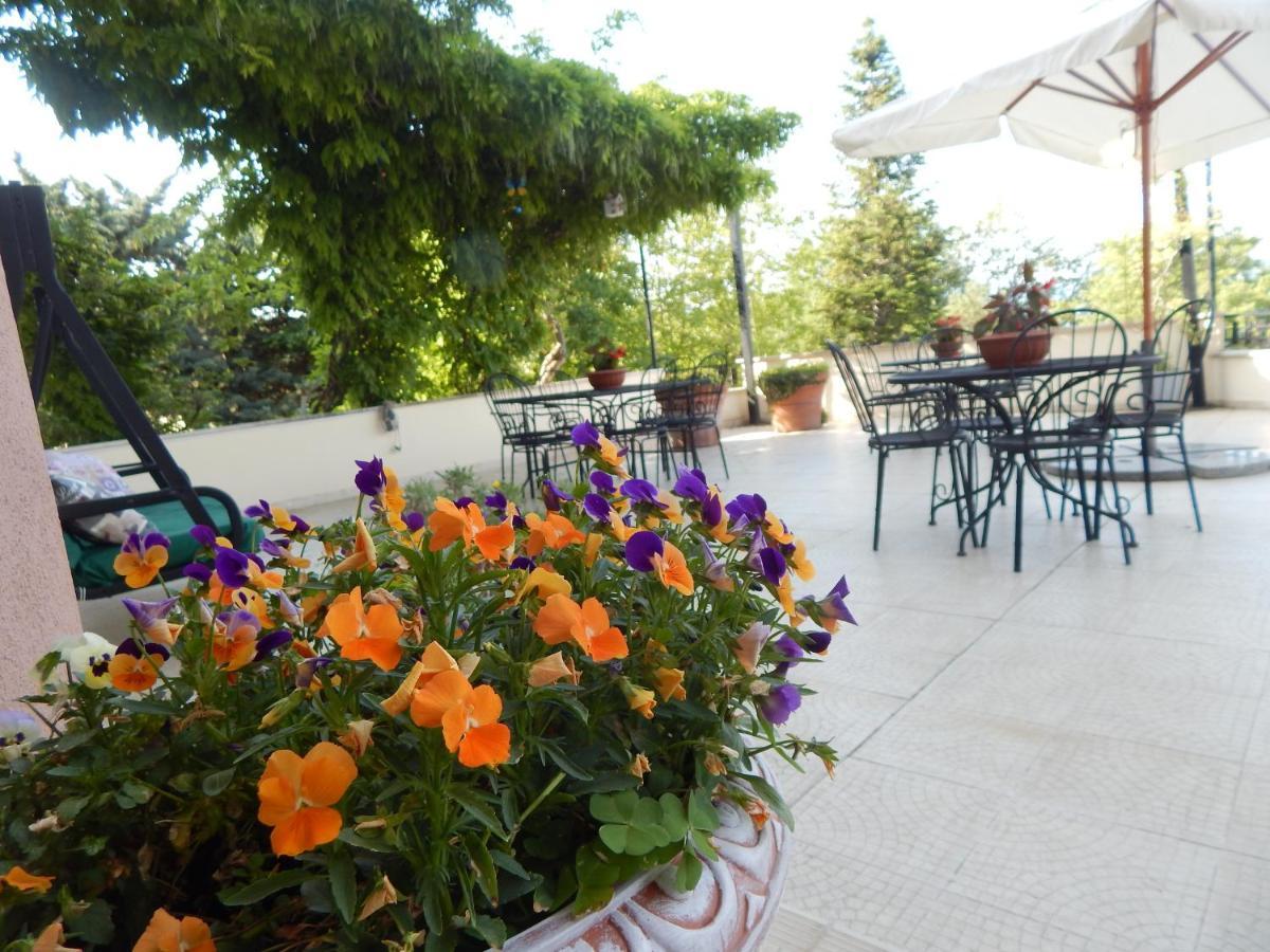B&B La Meta Settefrati Экстерьер фото